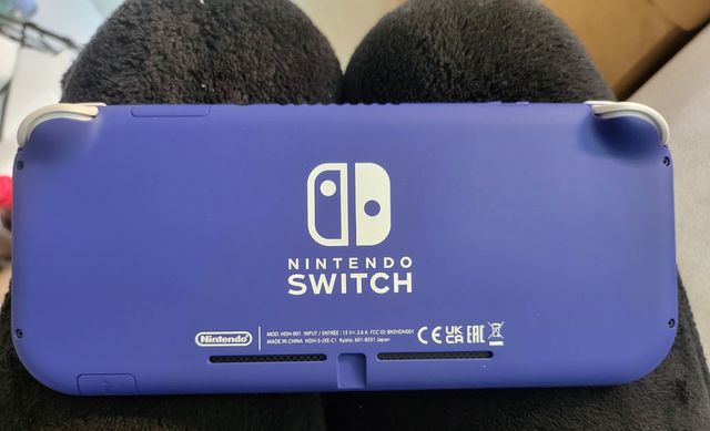 Nintendo switch lite