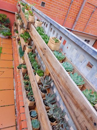 Suculentas en maceta reciclada.