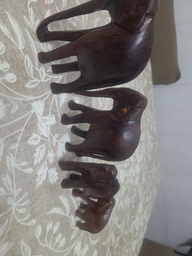 Famiglia di elefanti