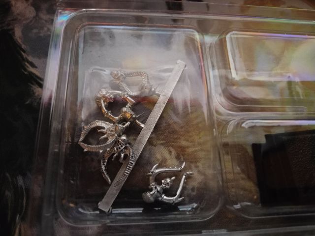 Guerreros del caos elegidos Warhammer metal