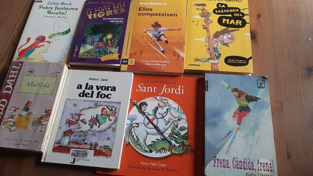 Lot llibres juvenils