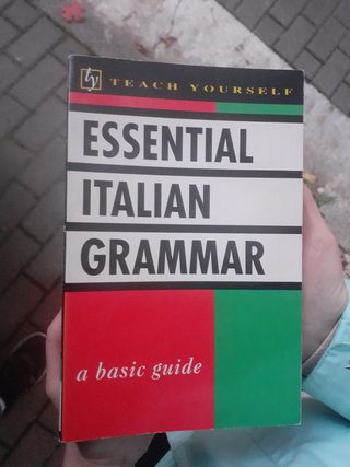 Essential Italian Grammar (Teach Yourself)