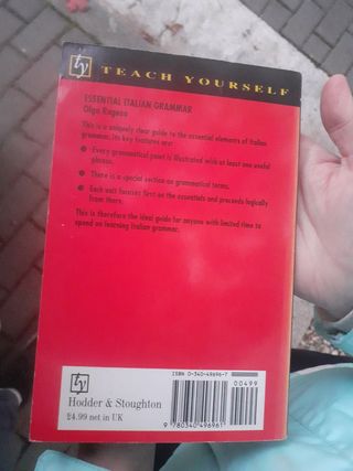 Essential Italian Grammar (Teach Yourself)