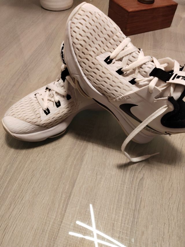 Zapatillas Nike LeBron james 38.5