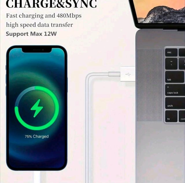 Cable iPhone Apple de 2 M nuevo