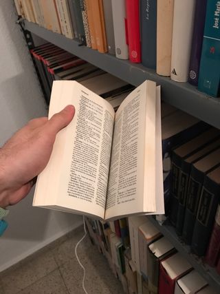 Diccionario Austral De La Lengua Espanola