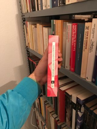 Diccionario Austral De La Lengua Espanola