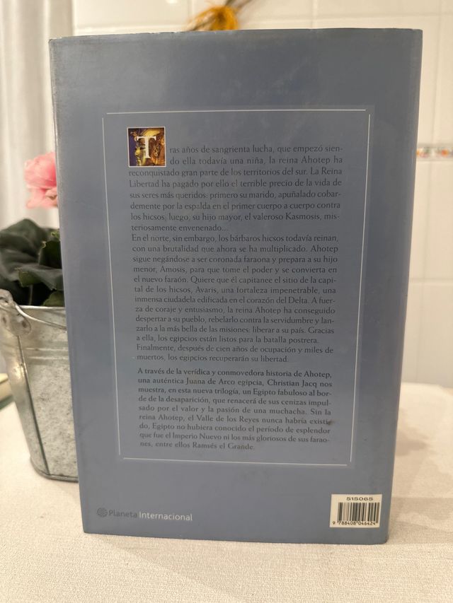 La Reina Libertad 3. La espada resplandeciente