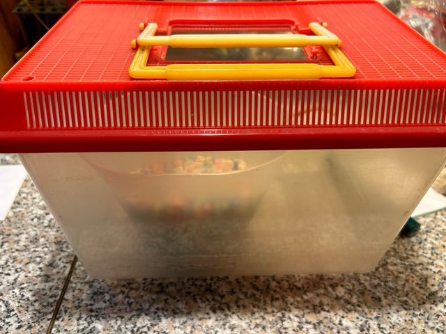 Pietre acquario colorate