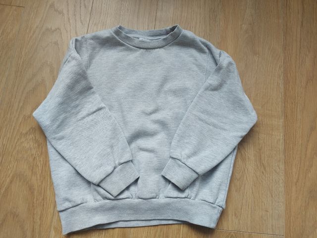 Dos sudaderas niño Zara (110 cm)