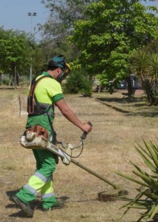 Limpieza de parcelas jardines 