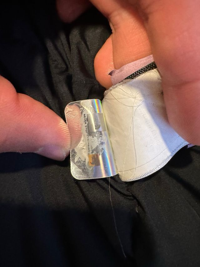 Parka The North Face McMurdo 2 Dryvent 550 Cuins