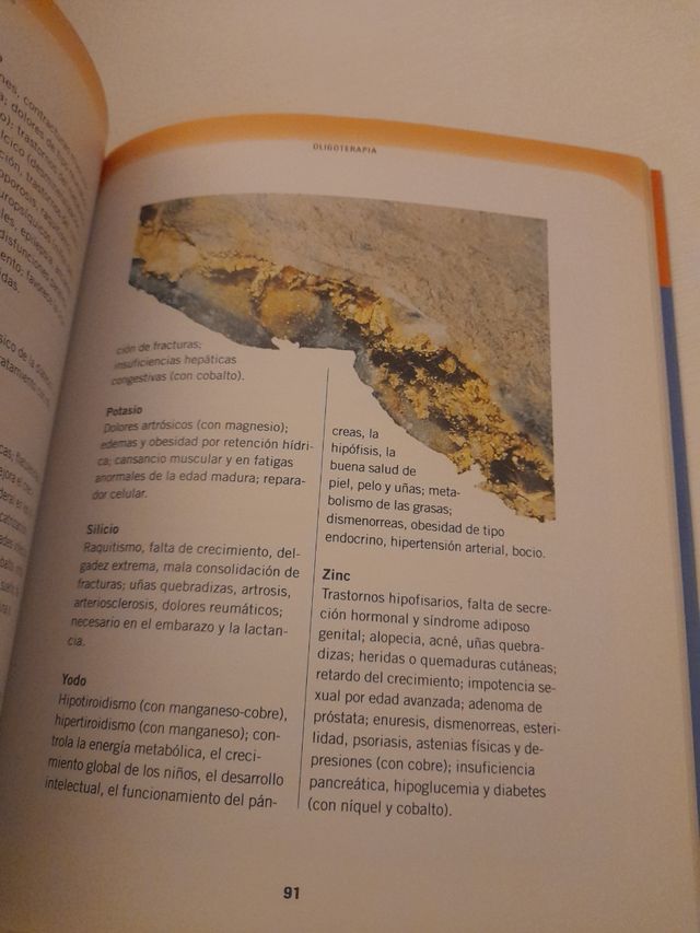 Guia Practica de las Medicinas Alternativas