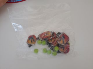 Juego de Gormiti