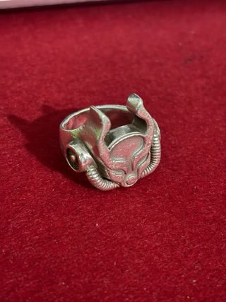 anillo unico