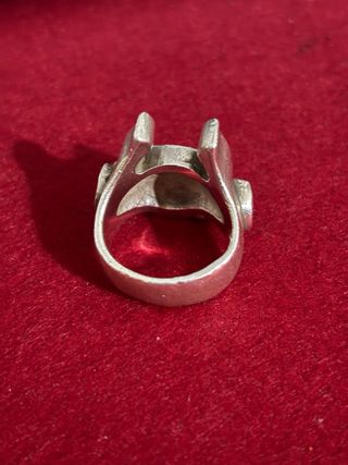 anillo unico