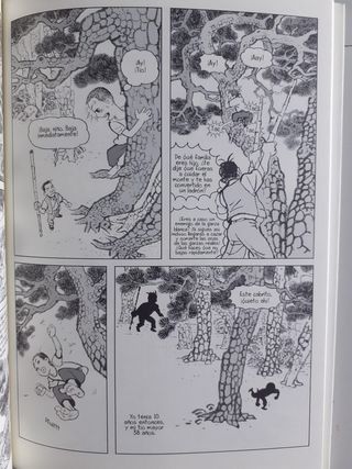 Corea vista por 12 autores - Obra completa Formato