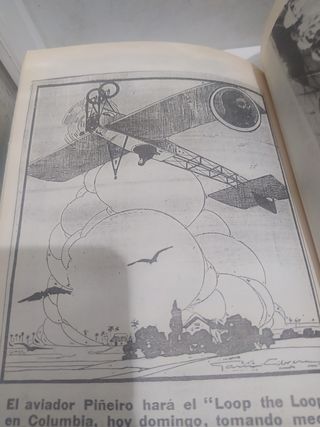 El vuelo de la gaviota. Piñeiro
