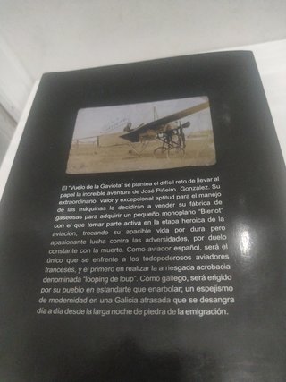 El vuelo de la gaviota. Piñeiro