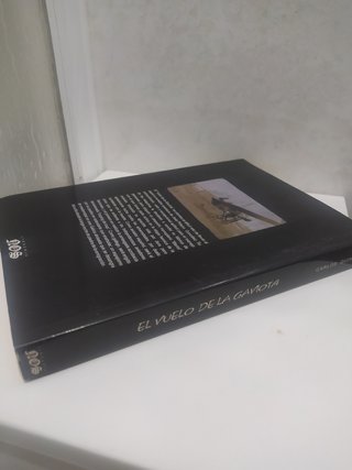 El vuelo de la gaviota. Piñeiro