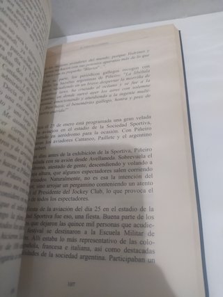 El vuelo de la gaviota. Piñeiro