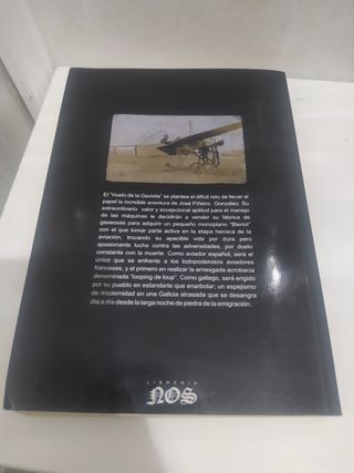 El vuelo de la gaviota. Piñeiro