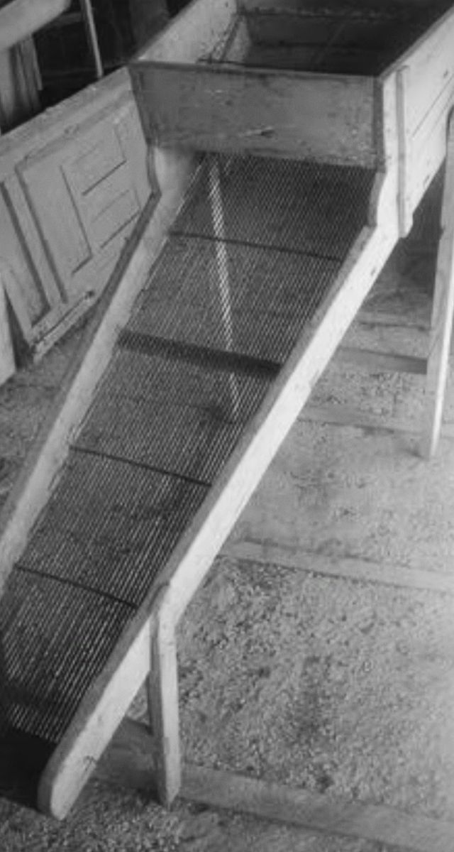 Criba aceituna antigua