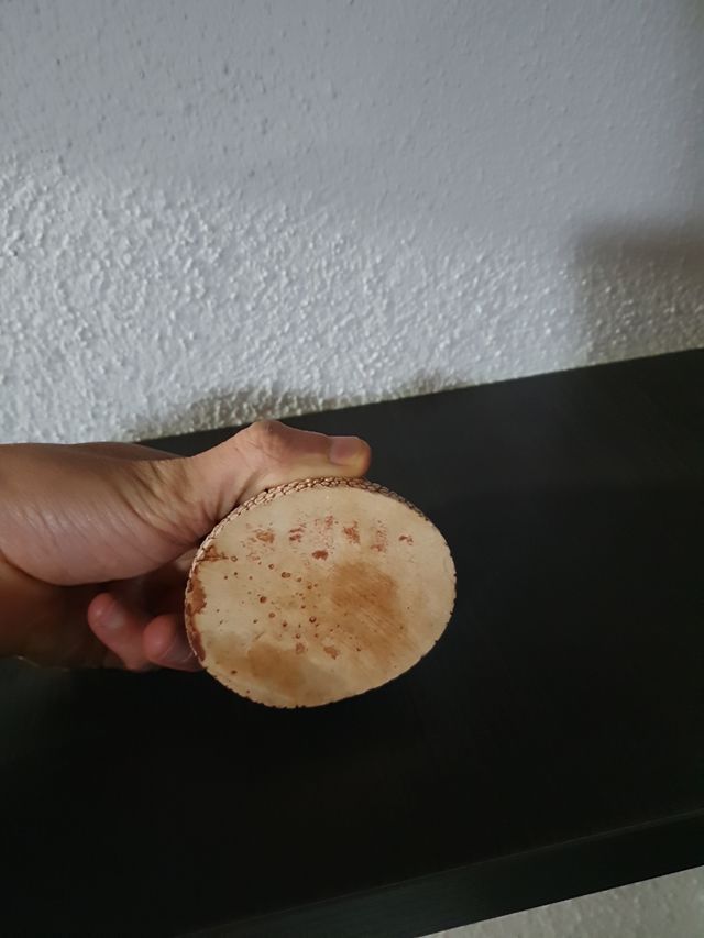 Figura coliseo romano