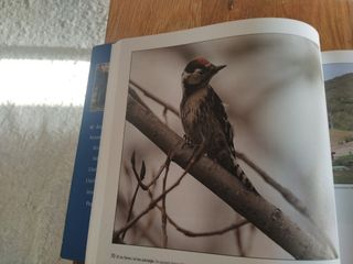El riu Tenes i el seu paisatge