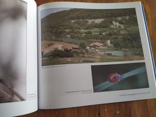 El riu Tenes i el seu paisatge