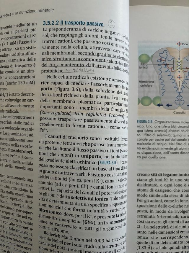 Elementi di fisiologia vegetale