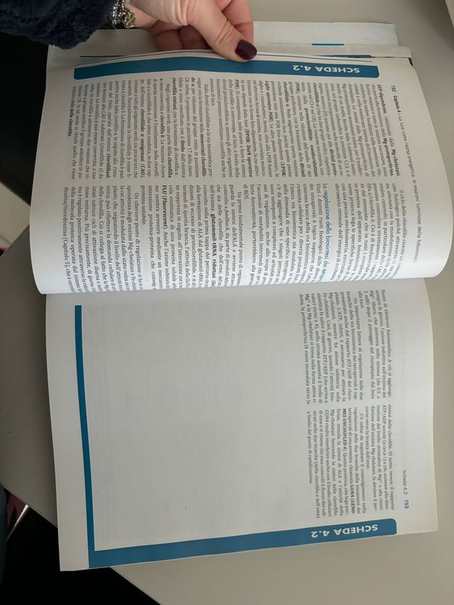 Elementi di fisiologia vegetale