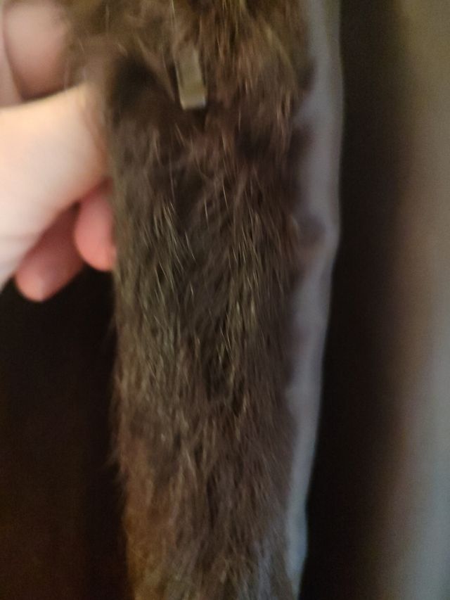 Chaquetón de pelo sintético