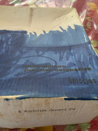 Servizio Jammet Seignolles piatti in porcellana