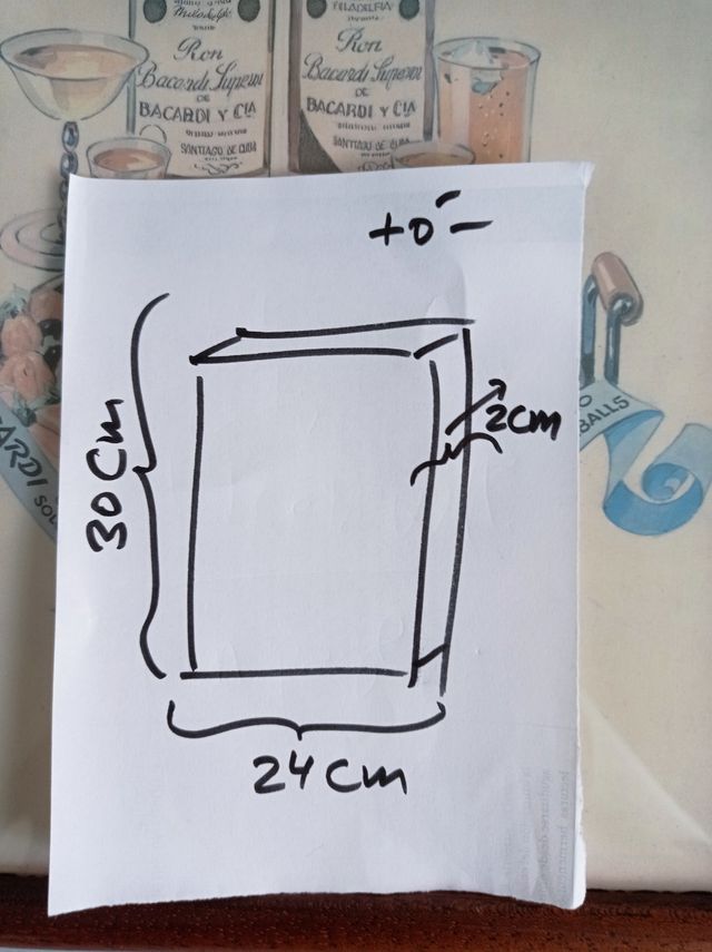 FOTO/STAMPA DI RON BACARDI