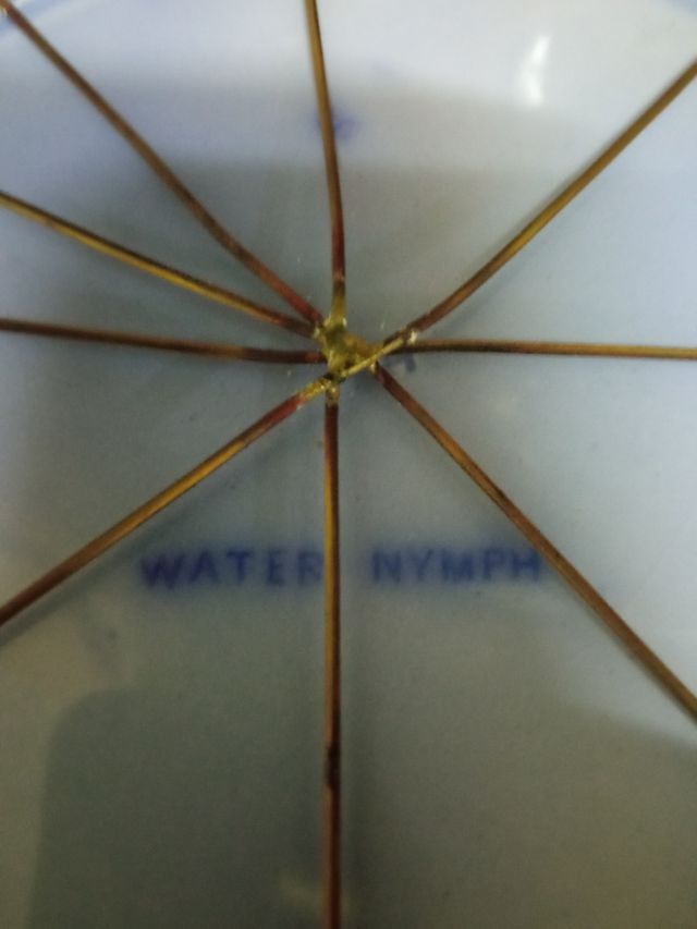 Coppia di set in ceramica antica coppia 40