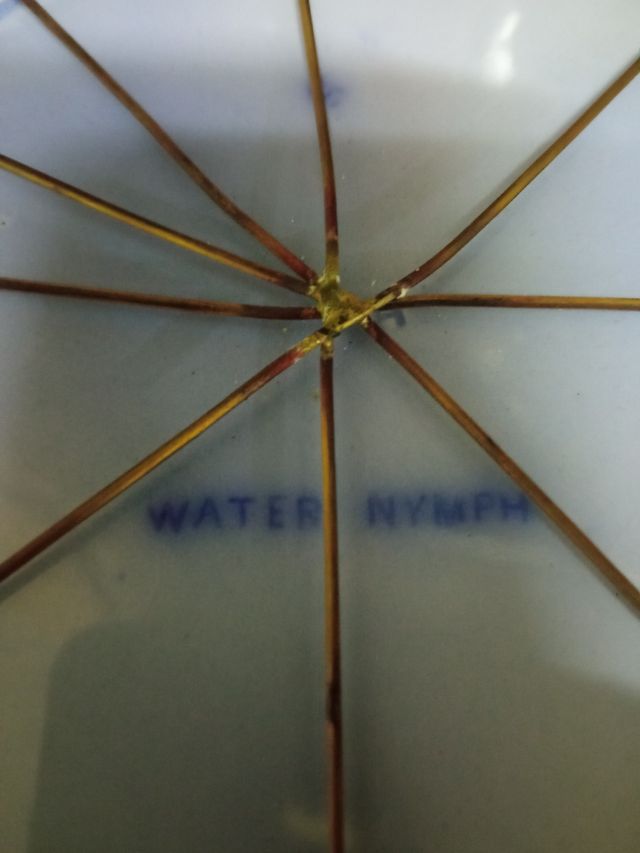 Coppia di set in ceramica antica coppia 40