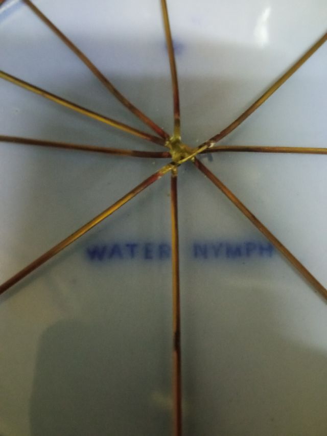 Coppia di set in ceramica antica coppia 40