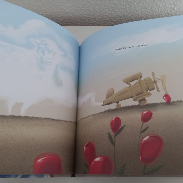 UN AVIÓN PARA VOLAR. Daniel Cañas. Ale Senso.