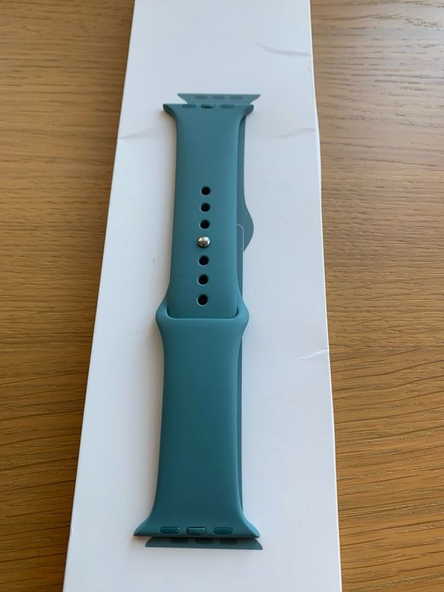 Correa apple watch