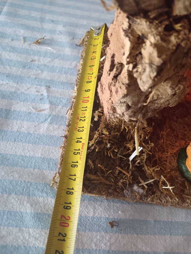 Capanna presepe natale con luci statui