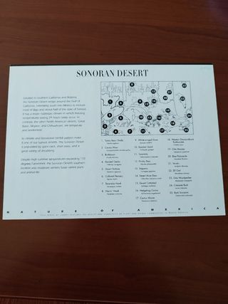 10 Sellos EE.UU fauna desierto de sonora