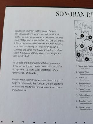 10 Sellos EE.UU fauna desierto de sonora