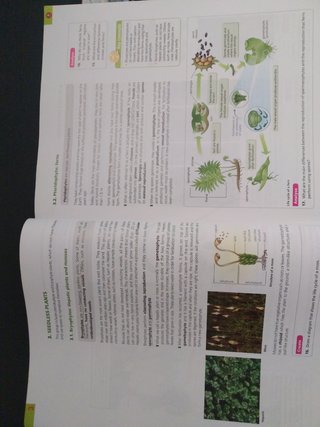 Libro de texto biology 1°ESO