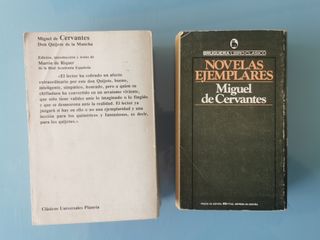 Cervantes Don Quijote + Novelas Ejemplares  (3x8€)