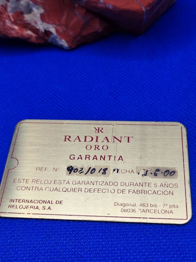 ✅ Garanzia sulla piastra metallica | Radiant Watch