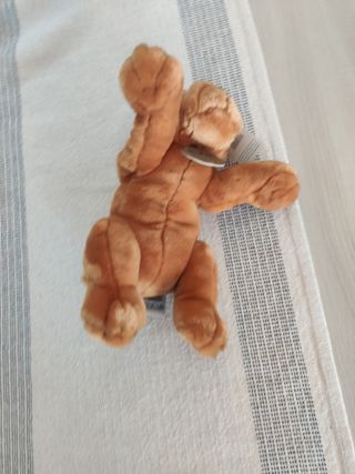 Cane peluche 