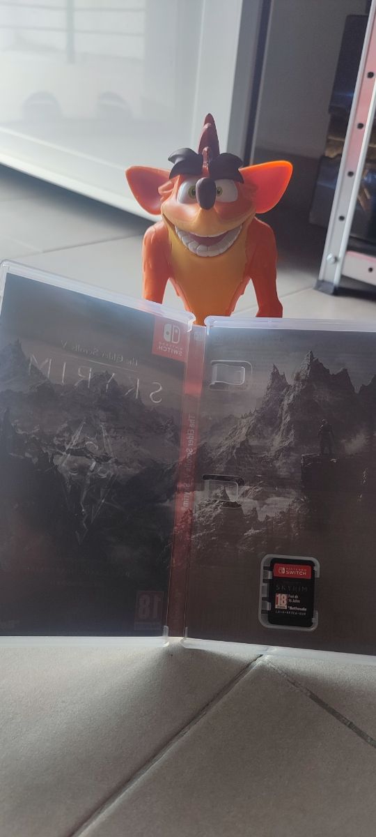 The Elder Scrolls  Nintendo switch