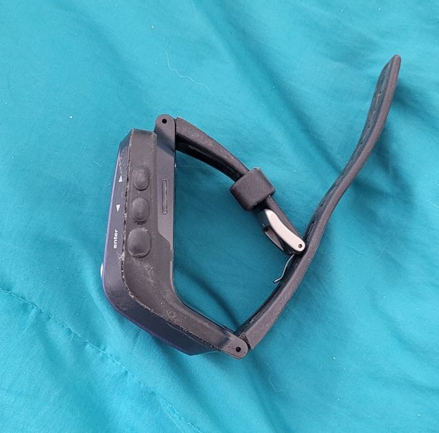 Garmin forerunner 205