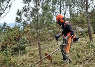 Césped artificial y servicios de jardinería 